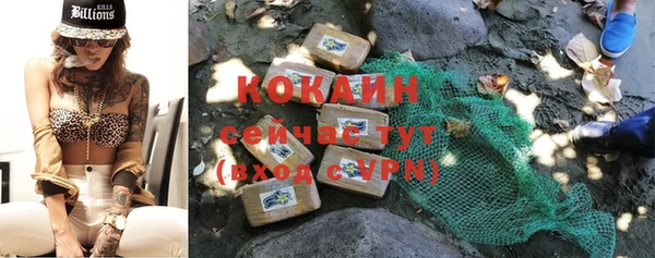 дживик Алзамай