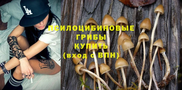 дживик Алзамай