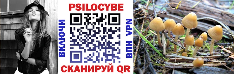 Псилоцибиновые грибы MAGIC MUSHROOMS  продажа наркотиков  Североуральск 