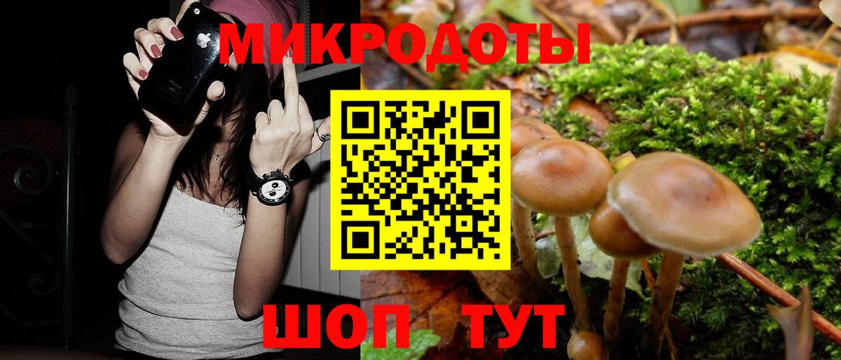 Галлюциногенные грибы Psilocybine cubensis Североуральск